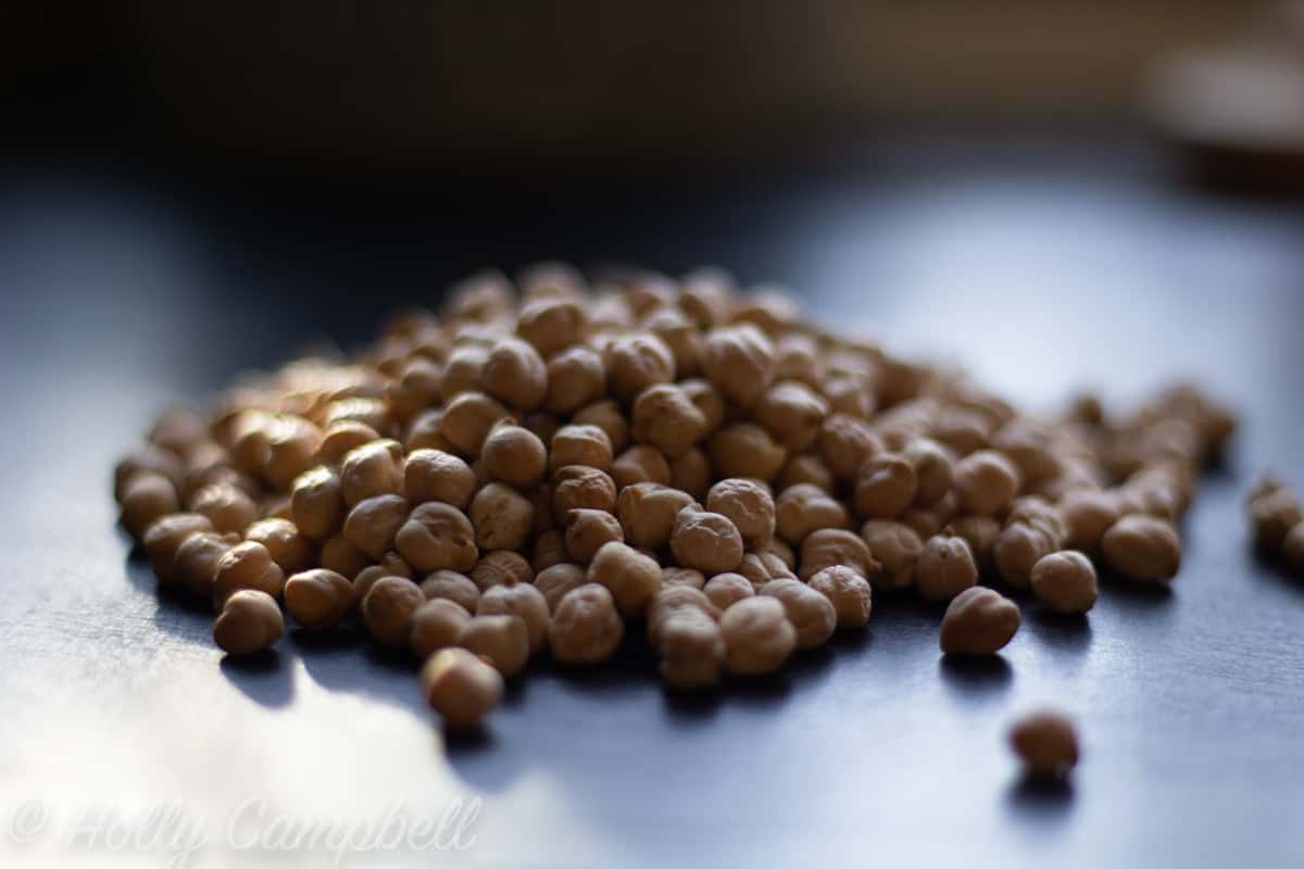 side view of dried chickpeas