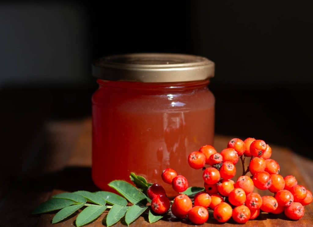 Rowan Berry And Apple Jelly Recipe