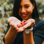 a girl holding ripe coffee cherries